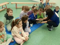 większy obrazek nr 25