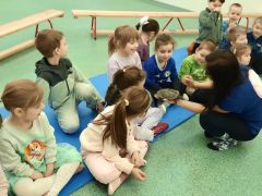 większy obrazek nr 26