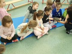 większy obrazek nr 27