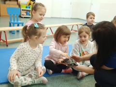 większy obrazek nr 30