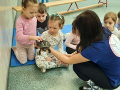 większy obrazek nr 32