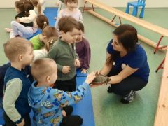 większy obrazek nr 33