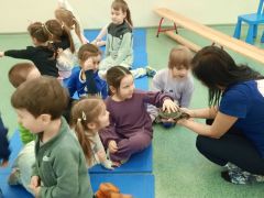 większy obrazek nr 34