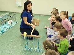 większy obrazek nr 41