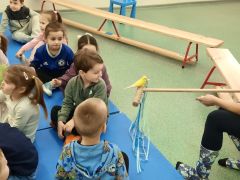 większy obrazek nr 44