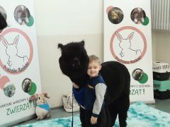 większy obrazek nr 47