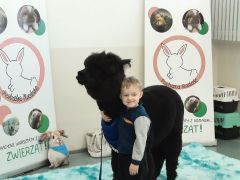 większy obrazek nr 48