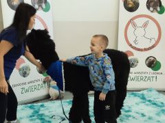 większy obrazek nr 49