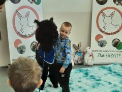 większy obrazek nr 50