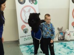 większy obrazek nr 51