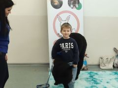 większy obrazek nr 52