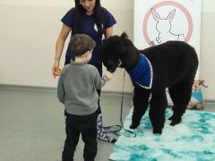 większy obrazek nr 53