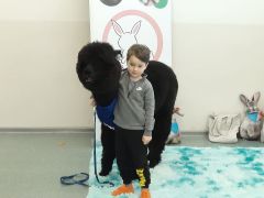 większy obrazek nr 54