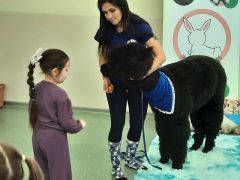 większy obrazek nr 55