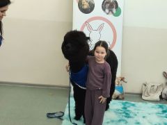 większy obrazek nr 56