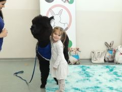 większy obrazek nr 58