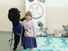 większy obrazek nr 59