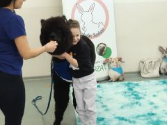 ilustracja do wpisu 
Puchate spotkanie pełne radości