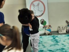 większy obrazek nr 61