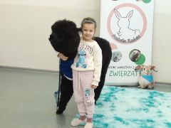 większy obrazek nr 64