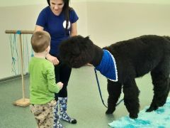 większy obrazek nr 65