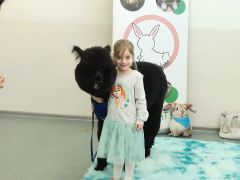 większy obrazek nr 67