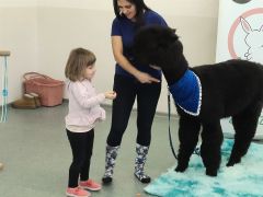 większy obrazek nr 68