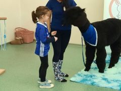 większy obrazek nr 70