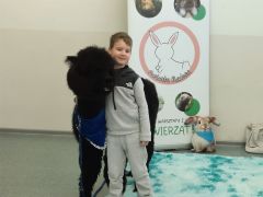 większy obrazek nr 72