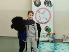 większy obrazek nr 73