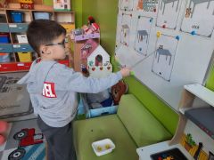 większy obrazek nr 6