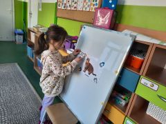 większy obrazek nr 8