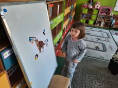 większy obrazek nr 12