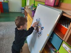 większy obrazek nr 21