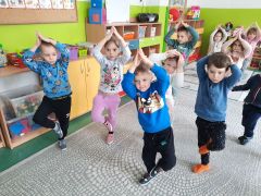 większy obrazek nr 43