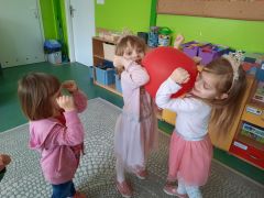 większy obrazek nr 68