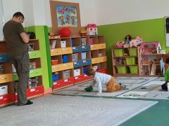 większy obrazek nr 83