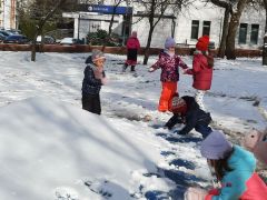 większy obrazek nr 1