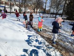 większy obrazek nr 2