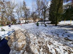 większy obrazek nr 7