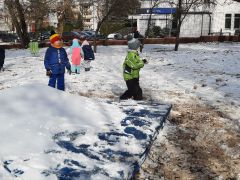 większy obrazek nr 8