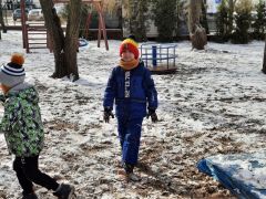 większy obrazek nr 11