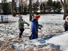 większy obrazek nr 12