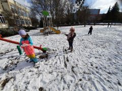 większy obrazek nr 13