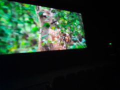 większy obrazek nr 3