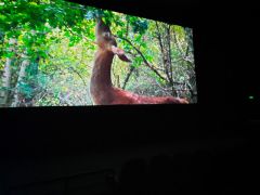 większy obrazek nr 4