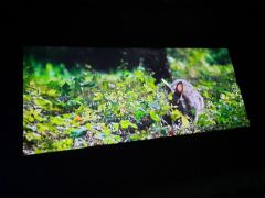 większy obrazek nr 5