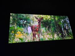 większy obrazek nr 7