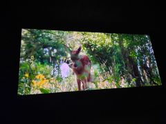 większy obrazek nr 8