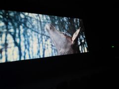 większy obrazek nr 9